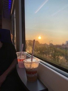 My summer favorites