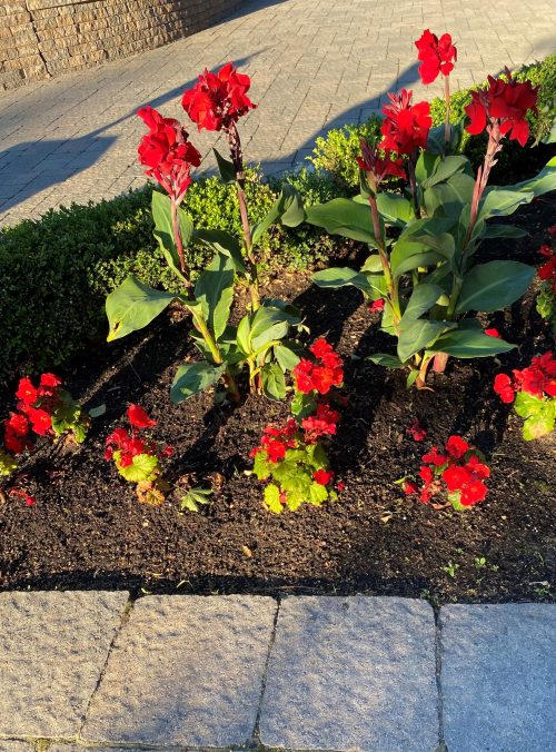 Red flags: 5 reasons you go for them & 4 ways to stop