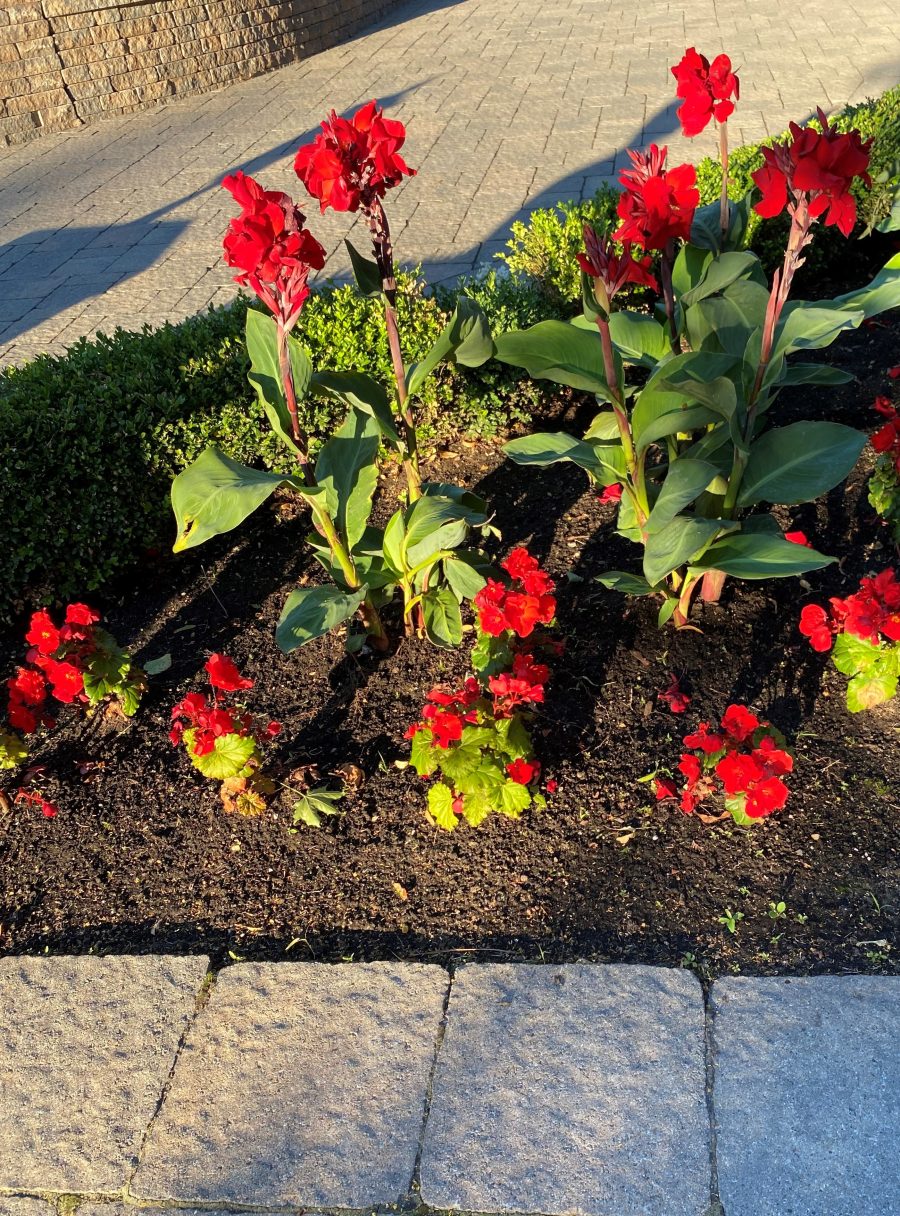 Red flags: 5 reasons you go for them & 4 ways to stop
